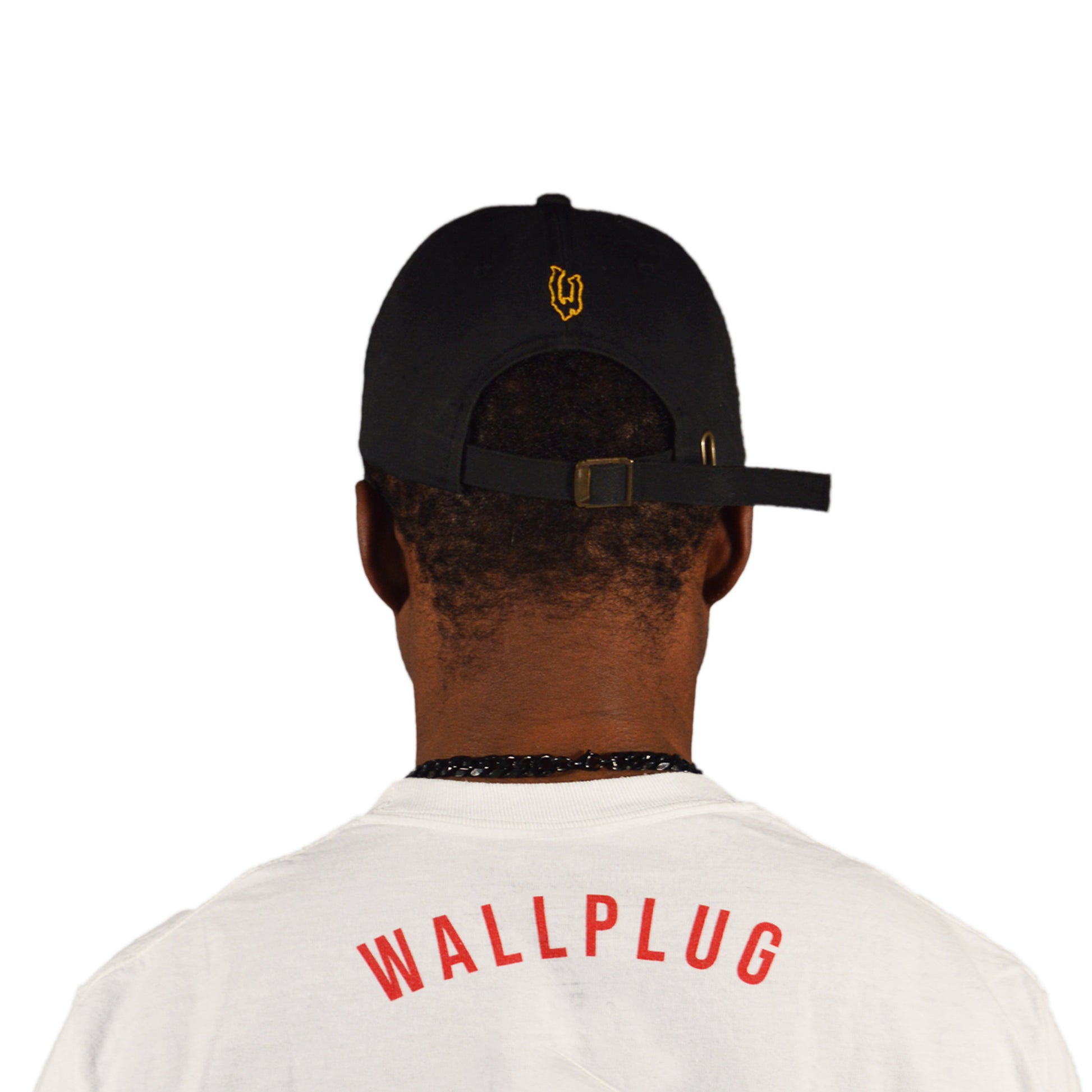 WP Dad hat